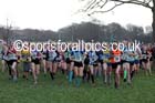 Girls under-15 Northern Cross Country Champs., Witton Park, Blackburn. Photo: David T. Hewitson/Sports for All Pics